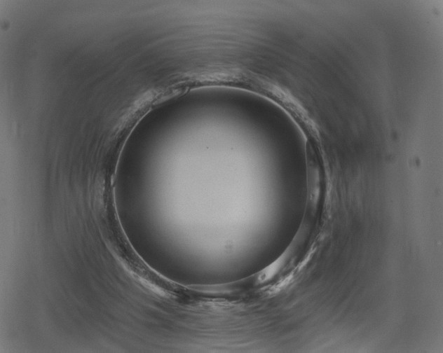 X0000078290201200611101117