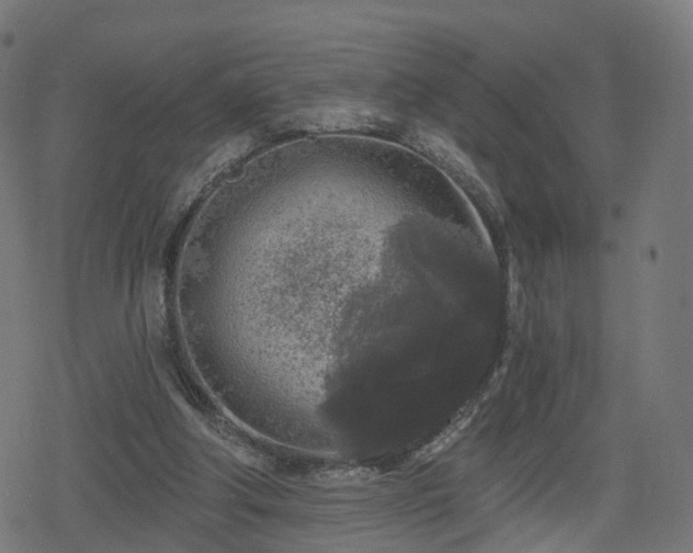 X0000078290202200611101117