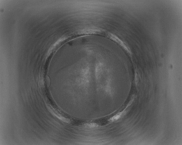 X0000078290203200611101117