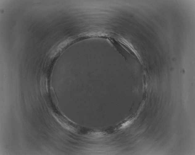 X0000078290205200611101117