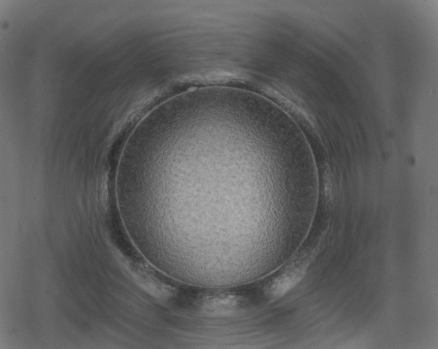 X0000078290206200611101117