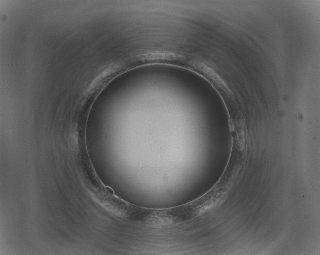 X0000078290207200611101117