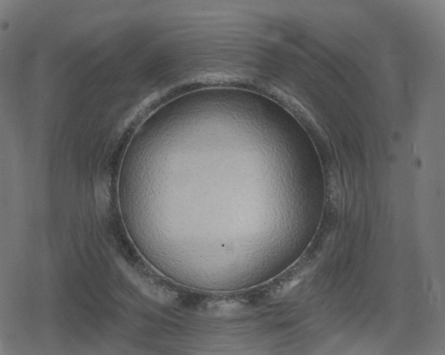 X0000078290208200611101117