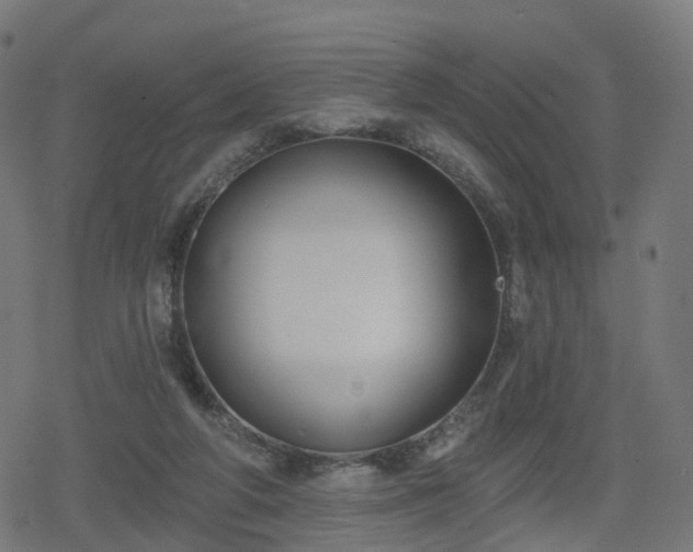 X0000078290210200611101116