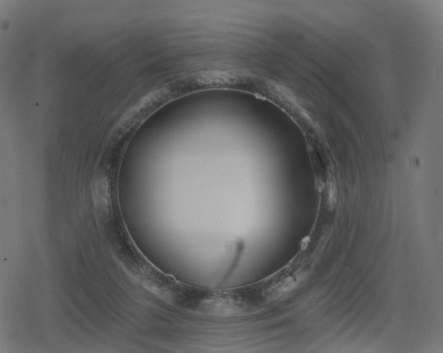 X0000078290211200611101116