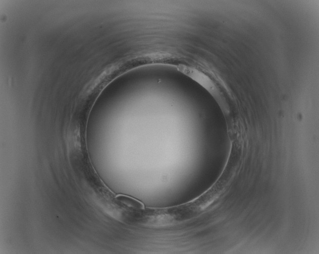 X0000078290212200611101116