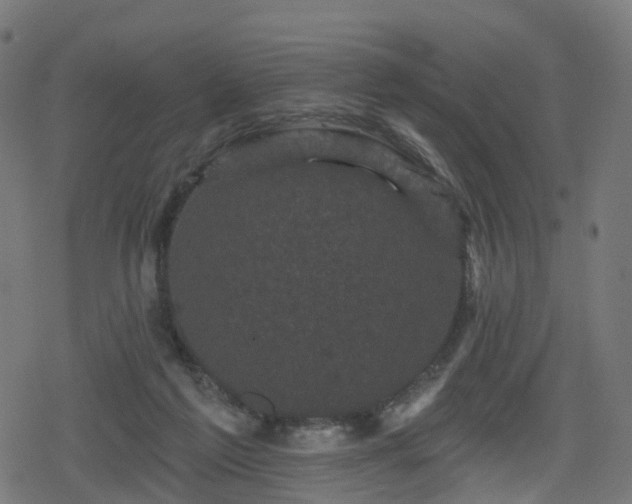 X0000078290213200611101116