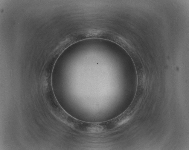 X0000078290215200611101116