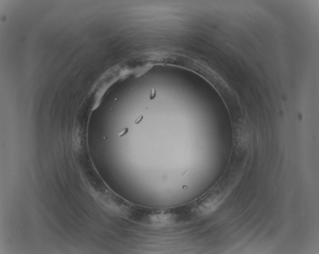 X0000078290216200611101116