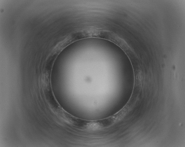 X0000078290218200611101116