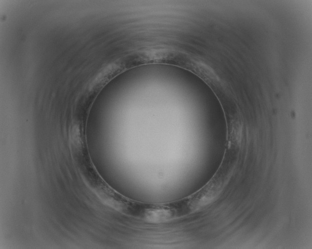 X0000078290220200611101116