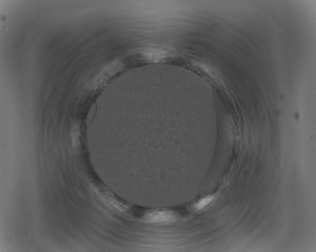 X0000078290221200611101116