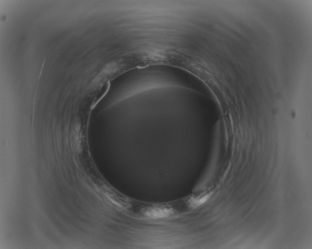 X0000078290223200611101116