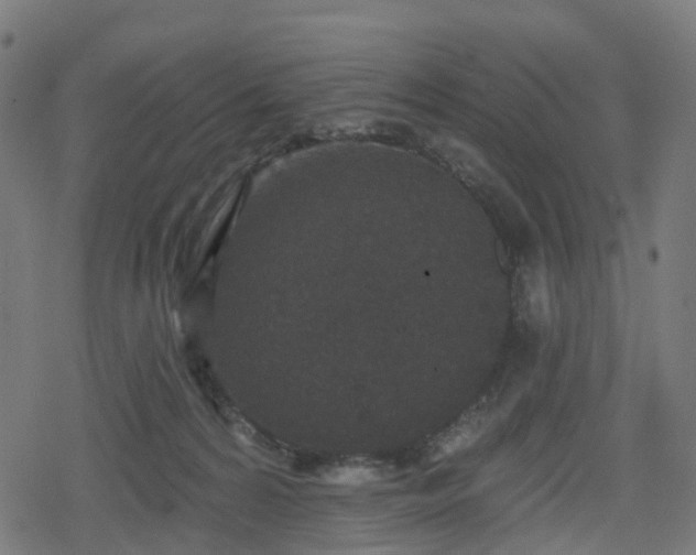 X0000078290224200611101116