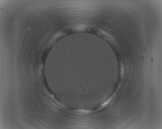 X0000078290225200611101116