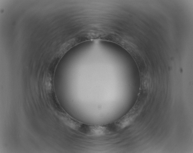 X0000078290226200611101116