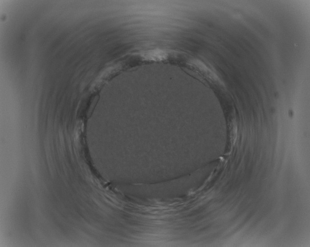 X0000078290229200611101116