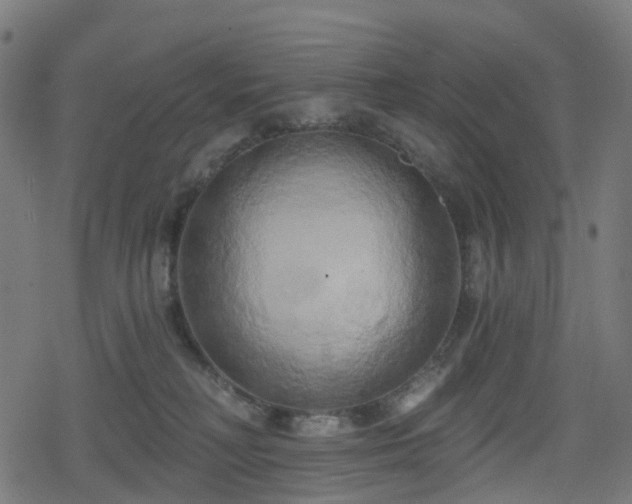 X0000078290230200611101116