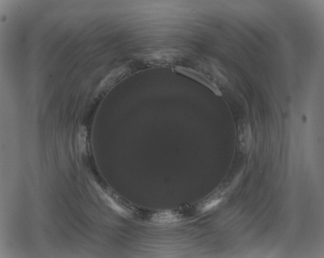 X0000078290231200611101116