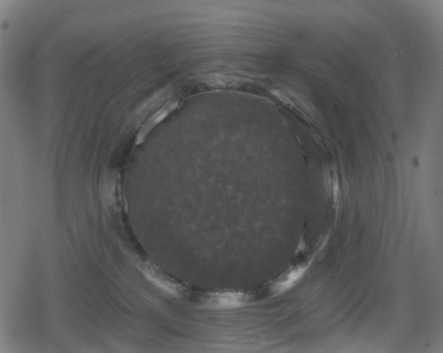 X0000078290233200611101116