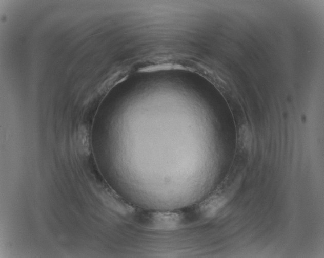 X0000078290234200611101116