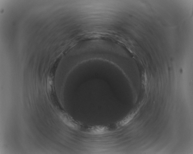 X0000078290235200611101116