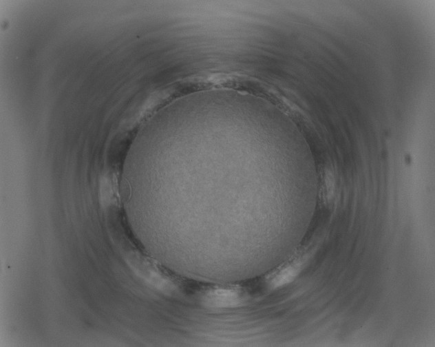 X0000078290236200611101116