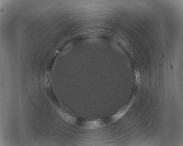 X0000078290237200611101116