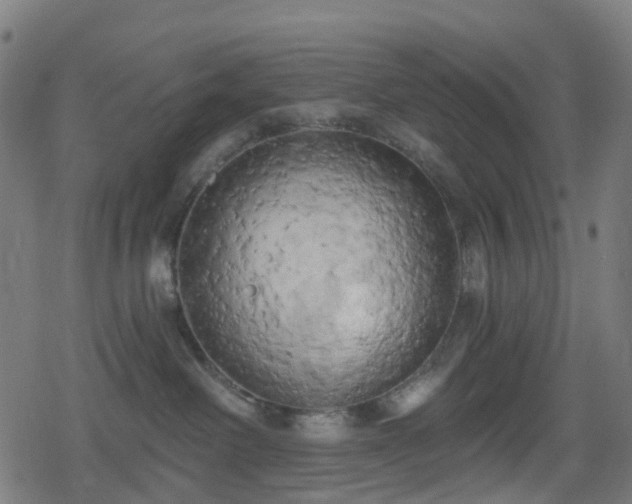 X0000078290238200611101116