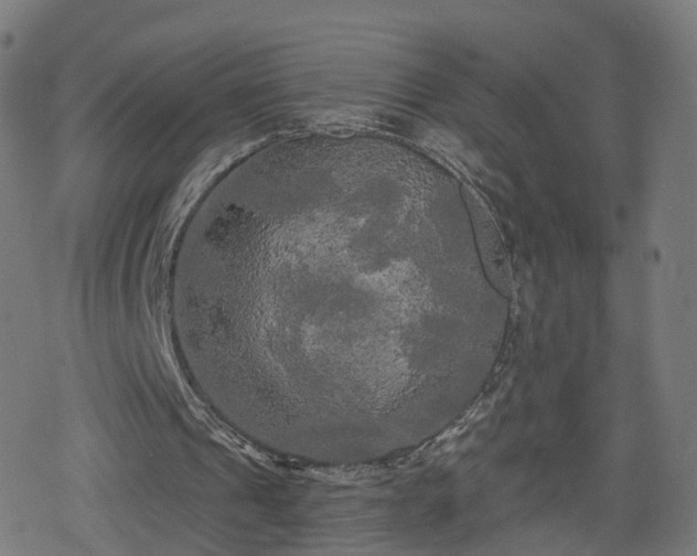 X0000078290241200611101115