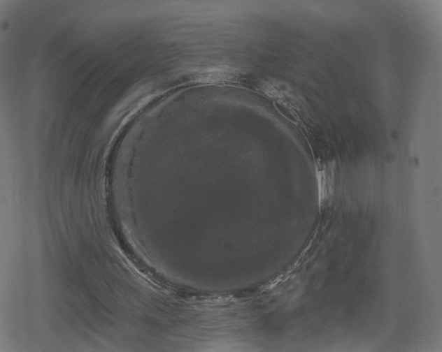 X0000078290243200611101115