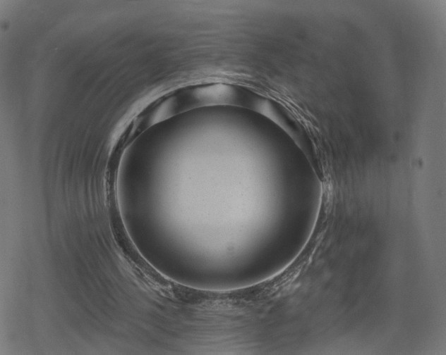 X0000078290244200611101115