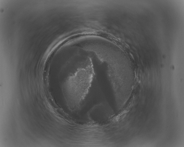 X0000078290247200611101115