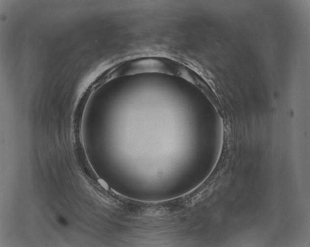 X0000078290248200611101115