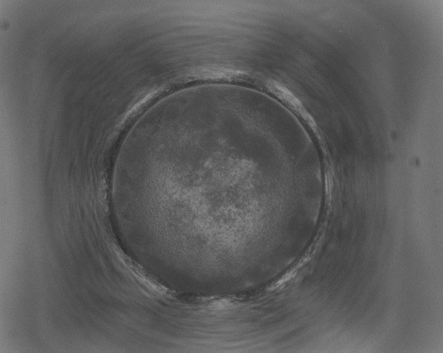 X0000078290249200611101115