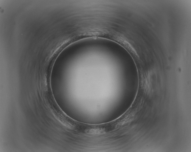 X0000078290251200611101115