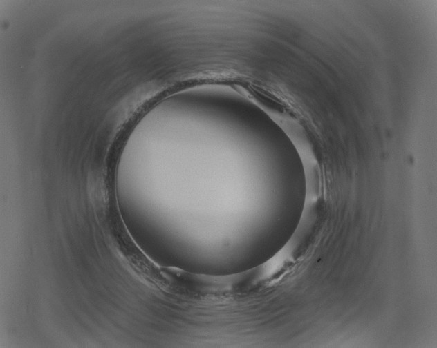 X0000078290252200611101115