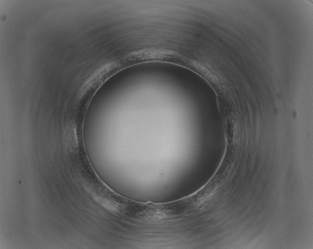 X0000078290254200611101115