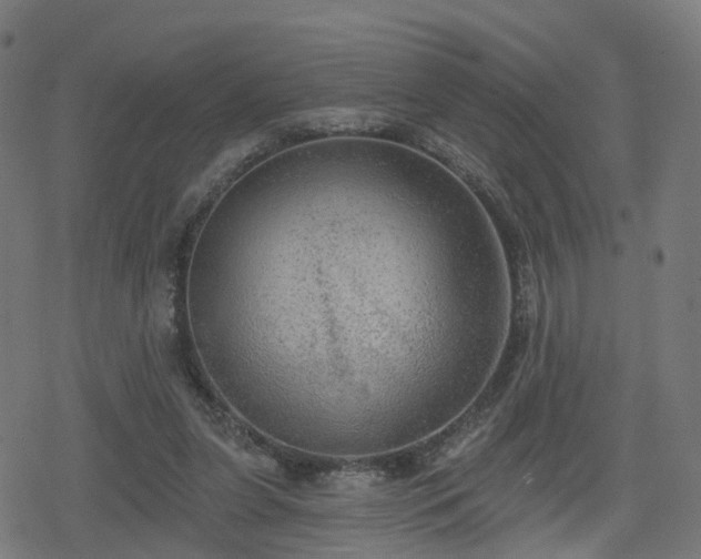 X0000078290255200611101115