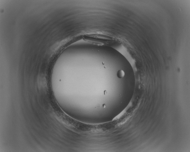 X0000078290256200611101115