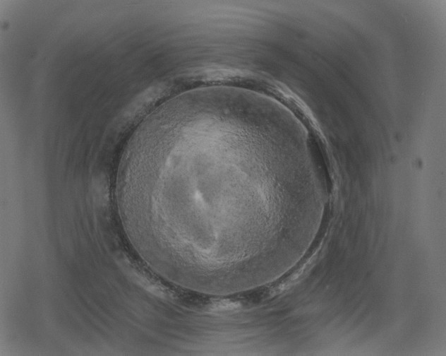 X0000078290257200611101115