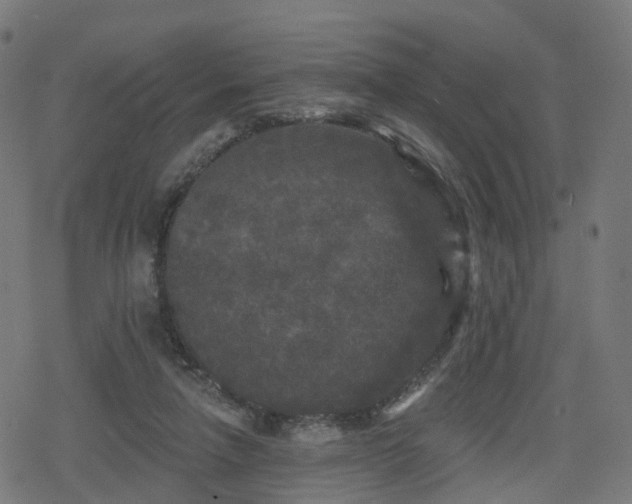 X0000078290258200611101115