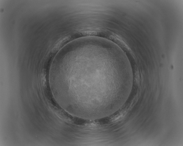 X0000078290259200611101115