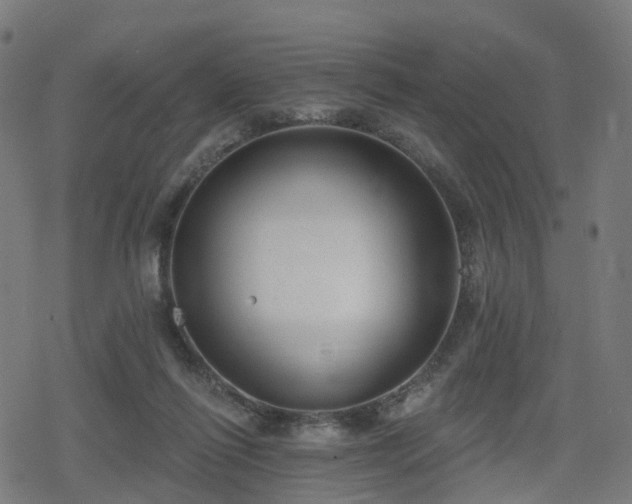 X0000078290262200611101116