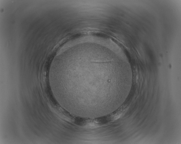 X0000078290263200611101116