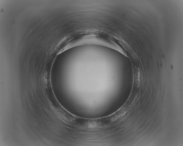 X0000078290264200611101116