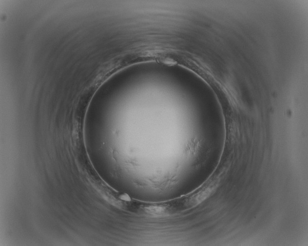 X0000078290265200611101116