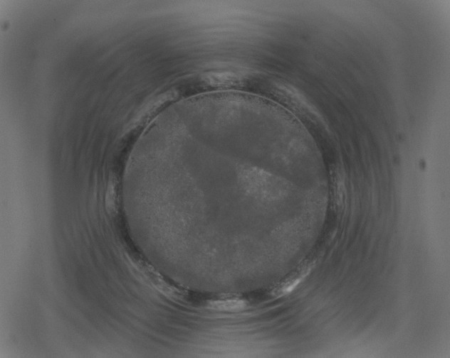 X0000078290266200611101116