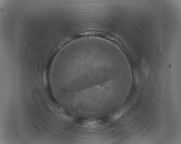 X0000078290267200611101116