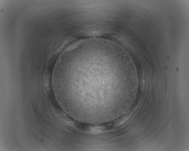 X0000078290268200611101116